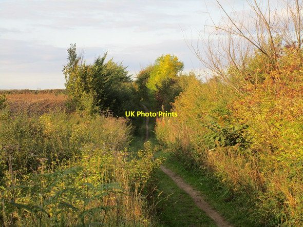 Photo 6"x4" Tween Woods Lane Wadworth c2015