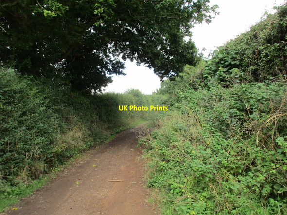 Photo 6"x4" Track to Cobhill Rough Murrell's End\/SO7430 c2015