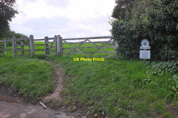 Photo 6"x4" Footpath onto Golden Hill, Harbledown Canterbury\/TR1457 c2015