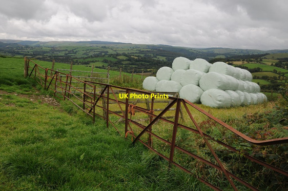 Photo 6"x4" Silage bales above Gwarallt Ffaldybrenin c2015