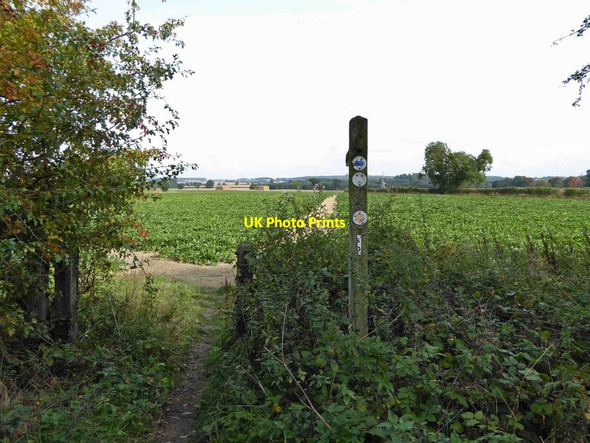 Photo 6"x4" Meeting of the ways off the Southwell Trail Edingley c2015