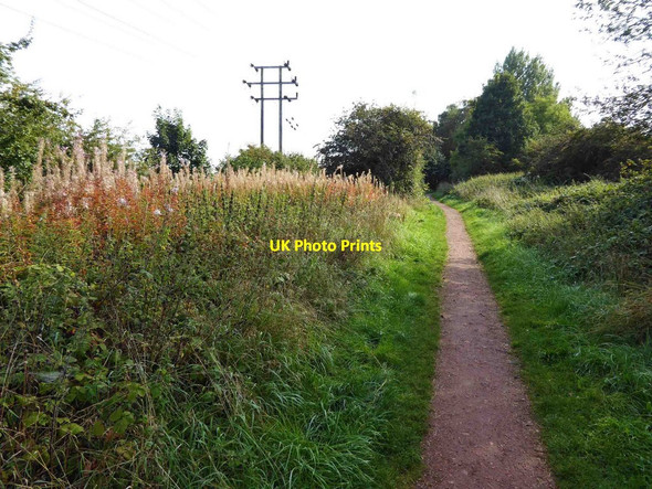 Photo 6"x4" Power lines alongside the Southwell Trail Farnsfield c2015