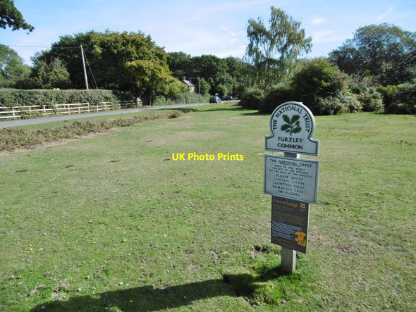 Photo 6"x4" Furzley Common, National Trust marker Furzley c2015