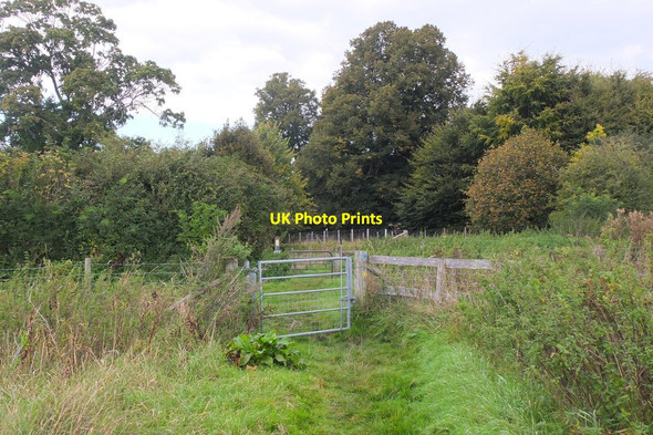 Photo 6"x4" Footpath to Bishopsbourne Kingston\/TR1951 c2015