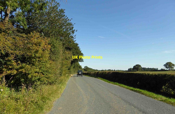 Photo 6"x4" Ox Close Lane North Deighton c2015