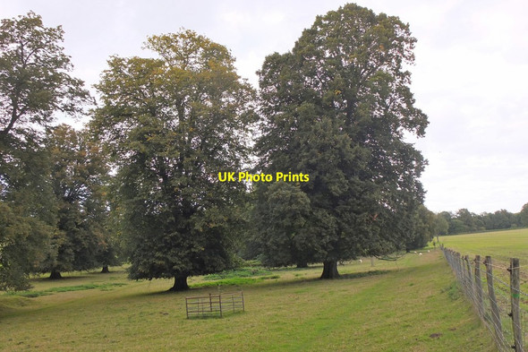 Photo 6"x4" Parkland and farmland, Barham Barham\/TR2050 c2015