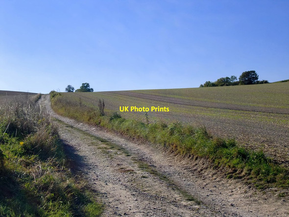 Photo 6"x4" The South Downs Way north of Houghton Houghton\/TQ0111 c2015