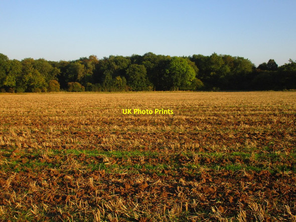 Photo 6"x4" Watnall Coppice and stubble field Greasley\/SK4947 c2015