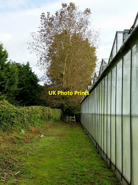 Photo 6"x4" On a footpath near Botloe's Green, 2 Botloe's Green c2015