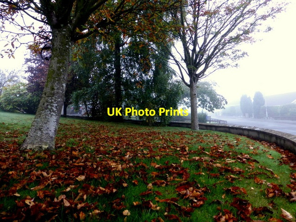 Photo 6"x4" Fallen leaves, Knockgreenan Avenue, Omagh Omagh c2015