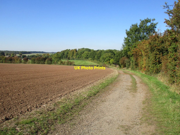 Photo 6"x4" Salt Hill Lane Firbeck c2015