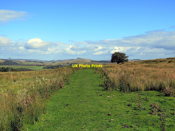 Photo 6"x4" Pennine Way east of Todholes Greenhead\/NY6665 c2015