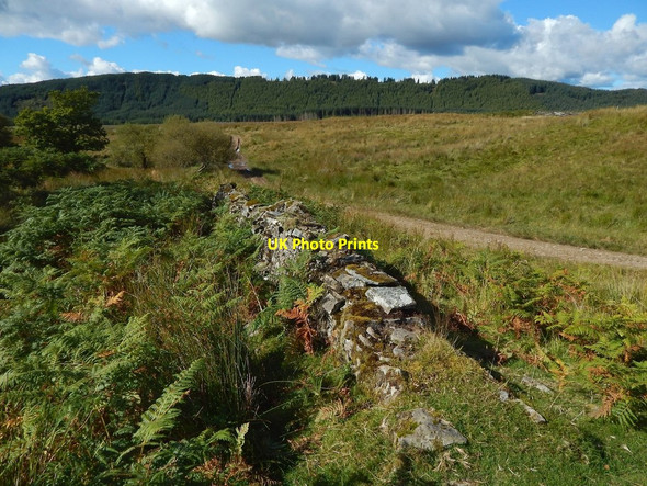 Photo 6"x4" Dry-stone dyke Arden\/NS3684 c2015
