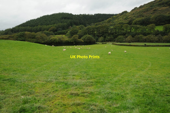 Photo 6"x4" The Cothi valley Cwrt-y-cadno c2015