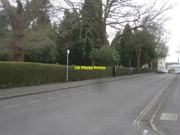 Photo 6"x4" View along Station Road Farnborough\/SU8754 c2015