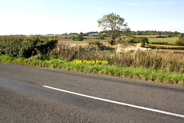 Photo 6"x4" Hedge junction beside minor road SE of Cold Overton Cold Overton c2015
