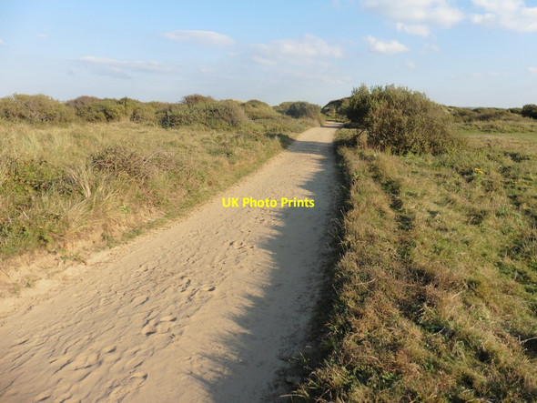 Photo 6"x4" Track on Braunton Burrows Saunton c2015
