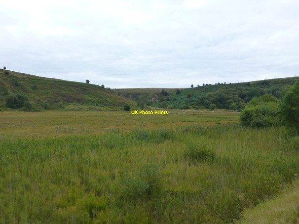 Photo 6"x4" Fen Bogs alongside the North Yorkshire Moors Railway Fen Bog c2015