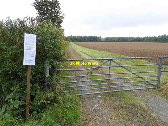 Photo 6"x4" Very tidy farm track from Waithe Lane Brigsley c2015