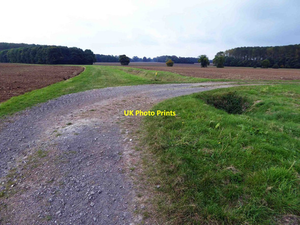 Photo 6"x4" Footpath goes straight on to Grainsby Grainsby c2015