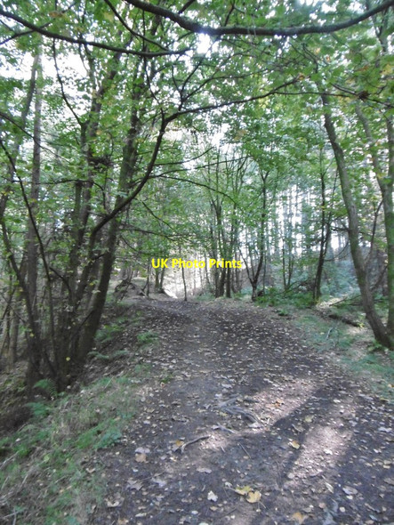 Photo 6"x4" Danebridge, footpath Danebridge c2015