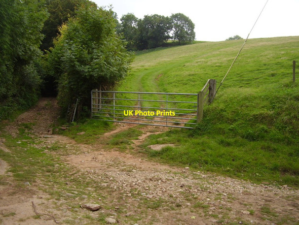 Photo 6"x4" Pitson Lane Bridge End\/SY0989 c2015