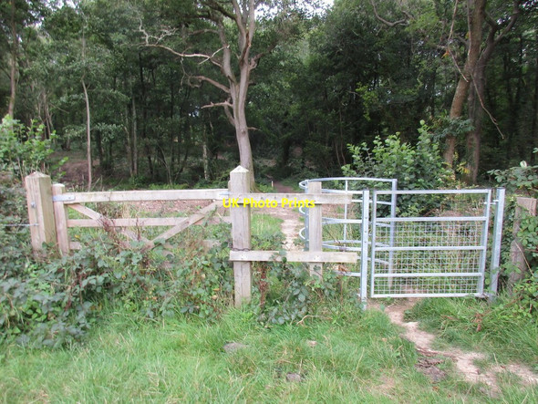 Photo 6"x4" Path into Newlandsmoor Coppice Furzeley Corner c2015