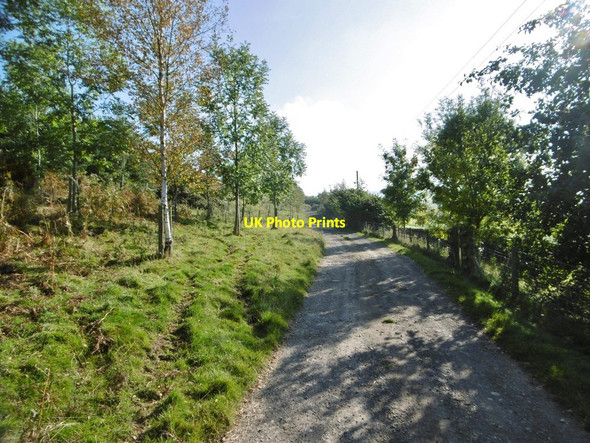 Photo 6"x4" Danebridge, permissive footpath Allgreave c2015