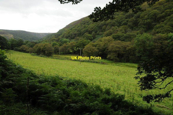 Photo 6"x4" Field beside Nant Melyn Nant Melyn\/SN7346 c2015