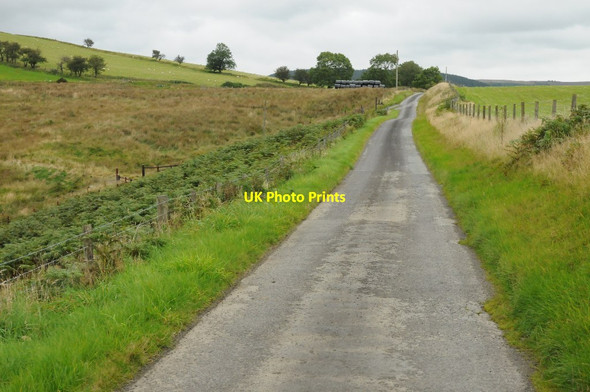 Photo 6"x4" Country road near Dolfallt Rhandirmwyn c2015