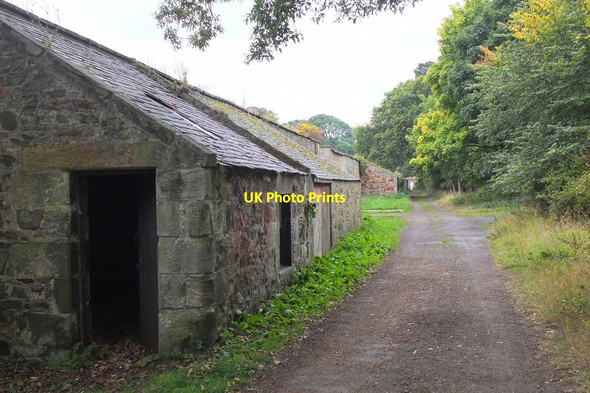 Photo 6"x4" Track by walled garden, Gosford Estate Craigielaw c2015