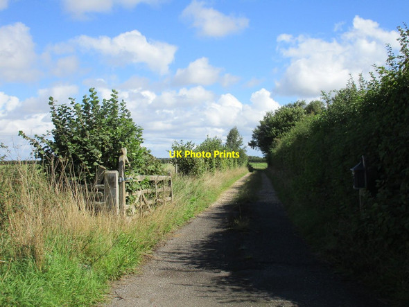 Photo 6"x4" Track on the edge of Winterborne Zelston Mapperton\/SY9098 c2015