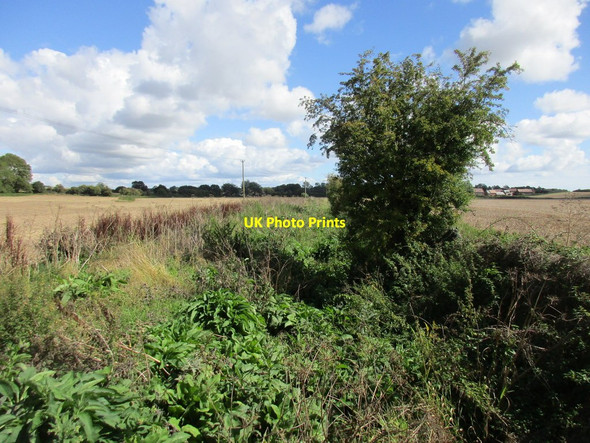 Photo 6"x4" The River Winterborne Anderson c2015