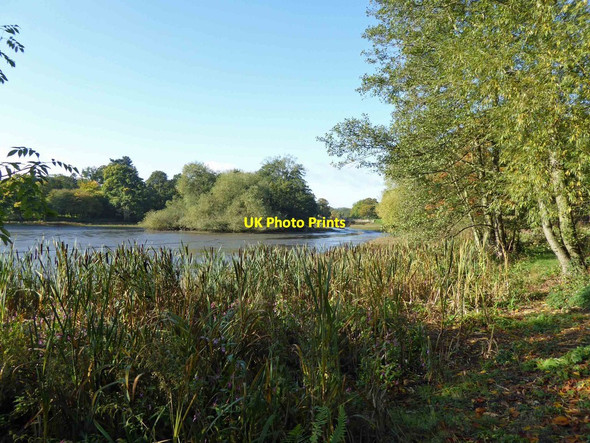 Photo 6"x4" Bretton Park's Lower Lake Haigh\/SE2912 c2015