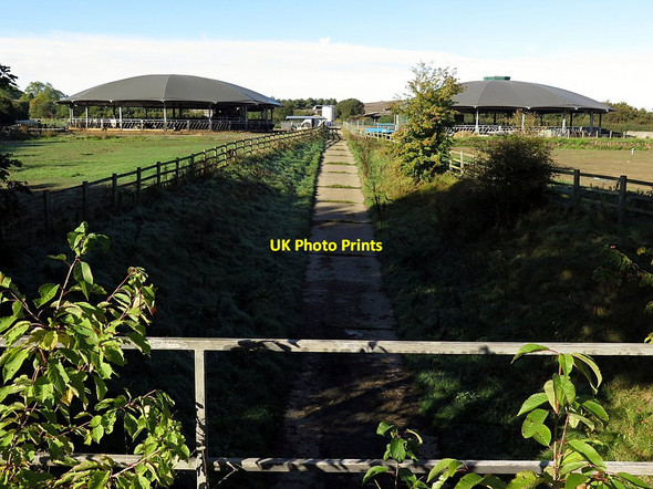 Photo 6"x4" Farm underpass, Bays Leap Heddon-on-the-Wall c2015