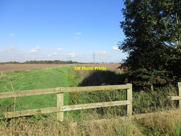Photo 6"x4" Swine, Benningholme and Arnold Ings Drain Swine c2015
