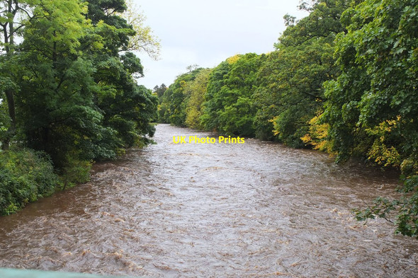 Photo 6"x4" The River Wear at Stanhope Stanhope\/NY9939 c2015