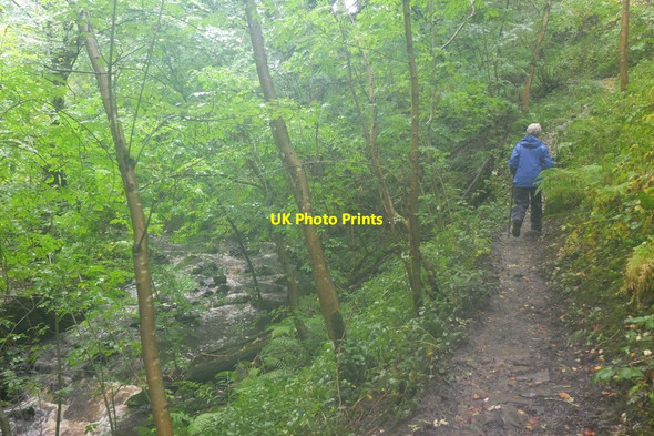 Photo 6"x4" A wet day, Shittlehope Burn Stanhope\/NY9939 c2015