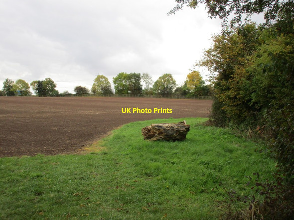 Photo 6"x4" Corner of a field Tickhill\/SK5993 c2015