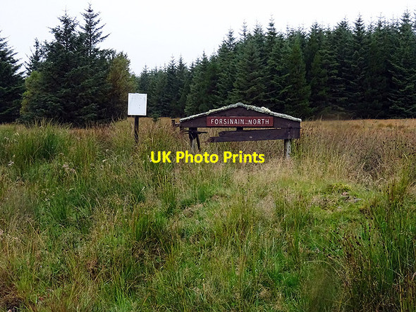 Photo 6"x4" Entering the forestry at Forsinain North Sletill Hill c2015