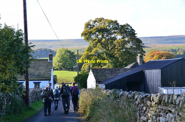 Photo 6"x4" Lane from Bowlees Visitor Centre Bowlees\/NY9028 c2015
