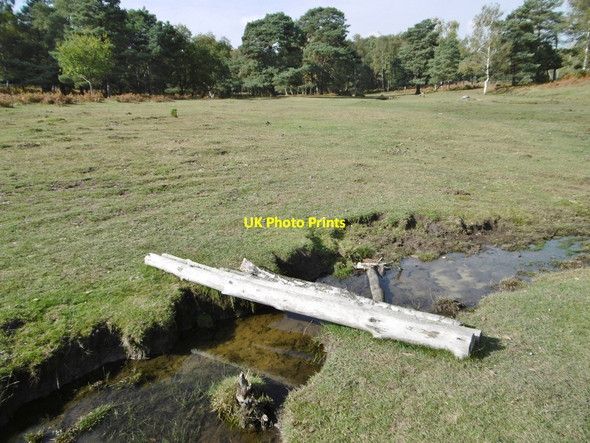 Photo 6"x4" Half Moon Common, footbridge Furzley c2015