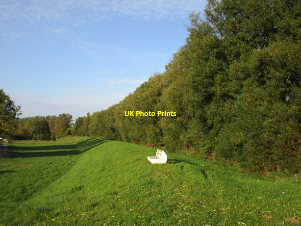 Photo 6"x4" The Trent bank near Woodbine Cottage Flixborough Stather c2015