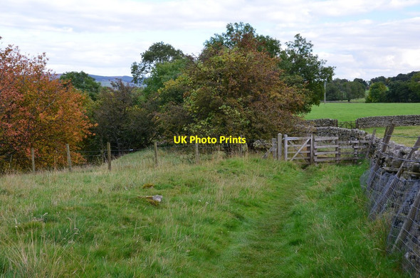 Photo 6"x4" Path to Middleton-in-Teesdale Dent Bank c2015