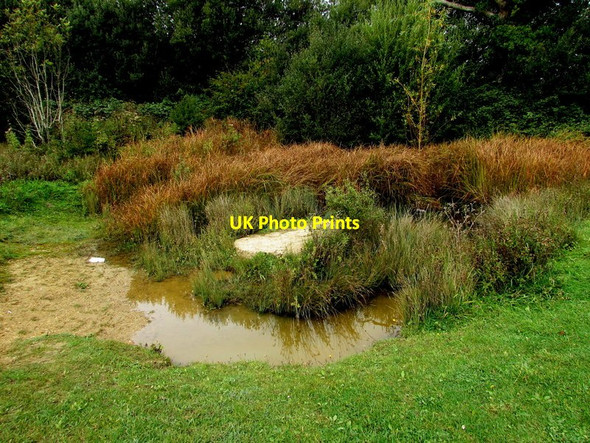 Photo 6"x4" Small pond near Monktonmead Brook, Ryde Ryde c2015