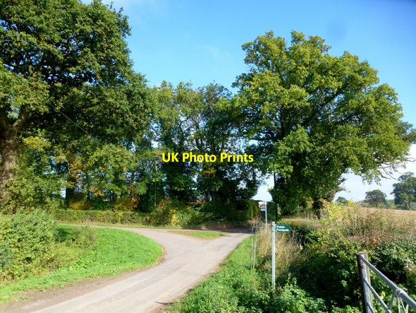 Photo 6"x4" Lane junction near The Burtons Donnington\/SO7033 c2015
