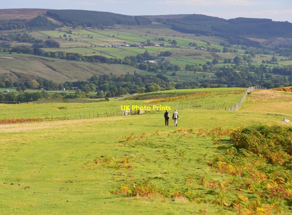 Photo 6"x4" Descent from Harter Fell, Teesdale Bowbank\/NY9423 c2015