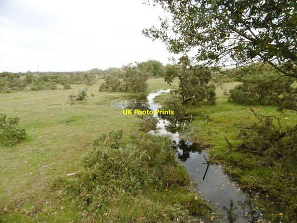Photo 6"x4" West Wellow Common, ditch Canada\/SU2817 c2015