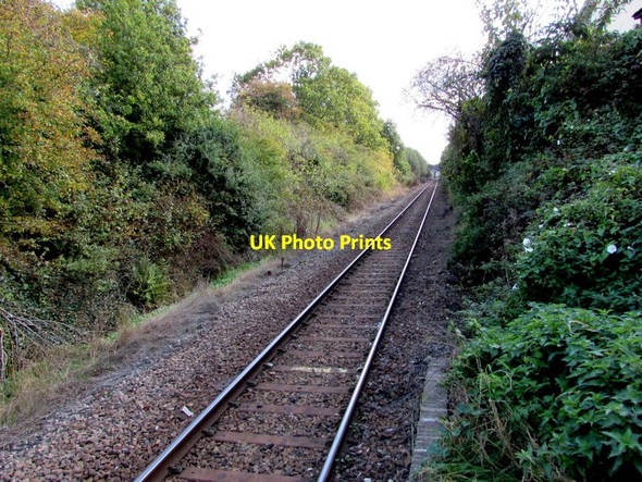 Photo 6"x4" Tarka Line from Copplestone towards Yeoford Copplestone\/SS7602 c2015