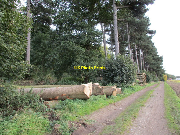 Photo 6"x4" Timber stacks Burton upon Stather c2015
